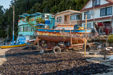 Drying seaweed and fish on the beach at Caleta Tumbes in Talcahuano, Chile.