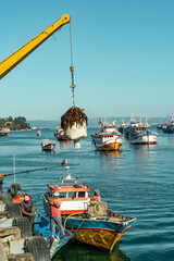Fishermen extracting seaweed from a boat at sea with a crane, Chile.