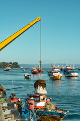 Fishermen extracting seaweed from a boat at sea with a crane, Chile.