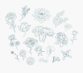 Outline drawing Vectors Flower icon background Floral Rose logo pattern Photos bouquet clipart 