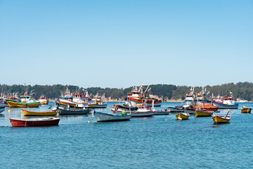 Horizontal shot of colorful boats in Caleta Tumbes, Chile