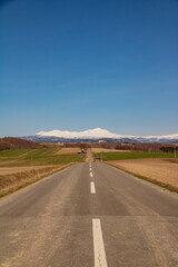 春の畑と雪山　大雪山
