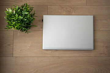 Top view of closed laptop. Home workplace with plants