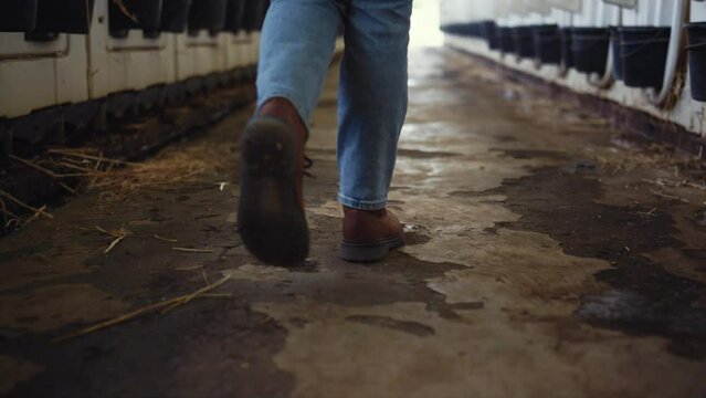 Farmer shoes walking cowshed facility closeup. Agricultural worker checking barn