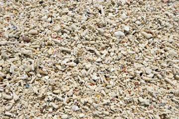 【素材】サンゴの砂浜（奄美大島）