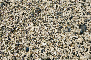 【素材】サンゴの砂浜（奄美大島）