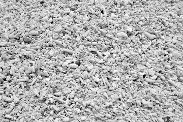 【素材】サンゴの砂浜（奄美大島）