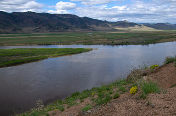 Steep river bank with flowers and greenery. From the shore you can see the river and the mountains on the opposite bank.
