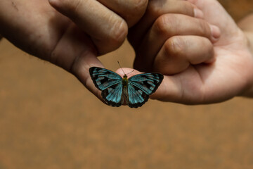 a butterfly sitting on the two pinkie fingers of two friends