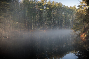 Fototapeta na wymiar morning fog covering a small pond in a forest