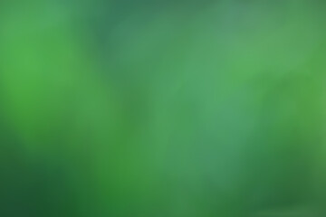 abstract green summer bokeh background, gradient view art texture glow