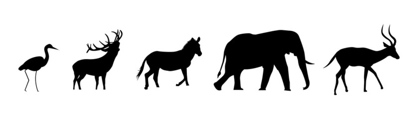 Obraz na płótnie Canvas Group of wildlife animal silhouettes illustration