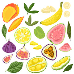 Set of exotic fruits, mango banana jackfruit guava