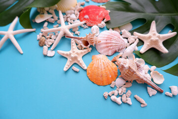 Colorful shells, Starfish, white coral sand and Tropical leaves on blue background. Summer concept...