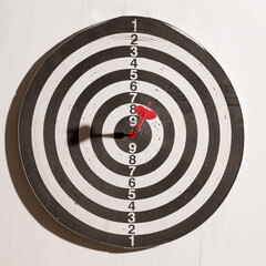 dart on target on white background