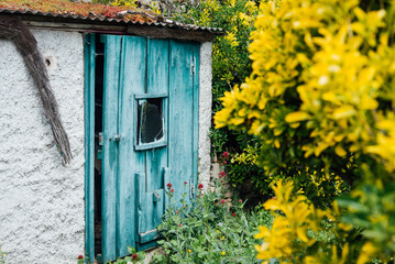 Une vieille cabane en bois dans un jardin. Une vieille porte bleue sur une cabane en bois dans un jardin.