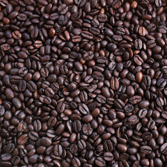 Coffee beans selected, background image ... 