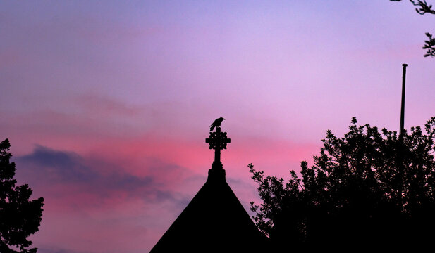 Silhouette of a crow perched on a rooftop of a building against trees and purple sunset - Powered by Adobe