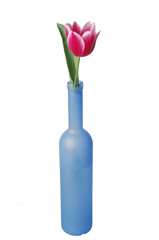 Bright spring tulip in a colored bottle.