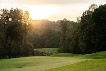 A lawn with lush trees in a golf course with the sun peering through the trees in the background