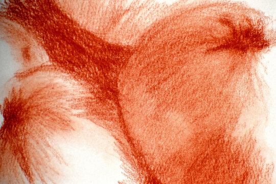 Closeup shot of drawen orange peach