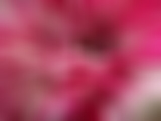 Gradient background of nature foe design and wallpaper