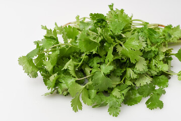 Fresh coriander leaves on white isolated background 