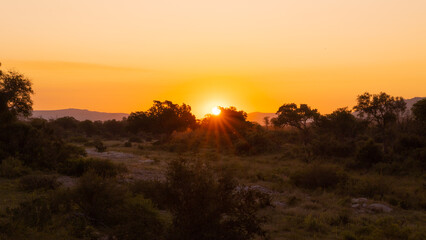 sunset in the Kruger national park