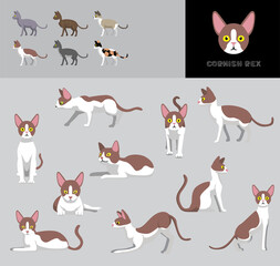 Cat Cornish Rex Cartoon Vector Illustration Color Variation Set