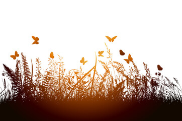 dark Thick Grass in the summer - isolated on white background. Grass silhouette at sunset. Vector illustration © Мария Неноглядова