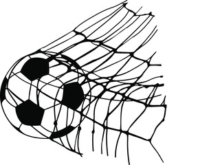 soccer ball flew into the goal net