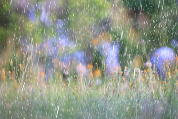 spring rain abstract flowers background