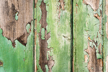 tekstura starego drewna z odchodzącą zieloną farbą