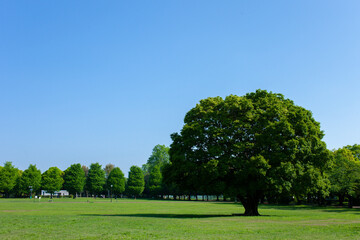 green park