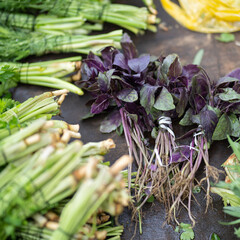 Fresh bio vegetables and herbs at the morning street farmer market. Local weekend agricultural fair. Sale of organic vegetables - bunches of basil, spicy greens. Selective soft focus. 
