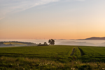 Obraz premium sunrise in palatinate