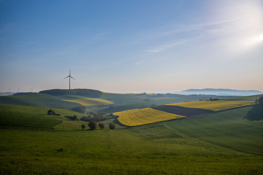 palatinate landscape in may