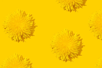 Dandelions on a yellow background pattern.