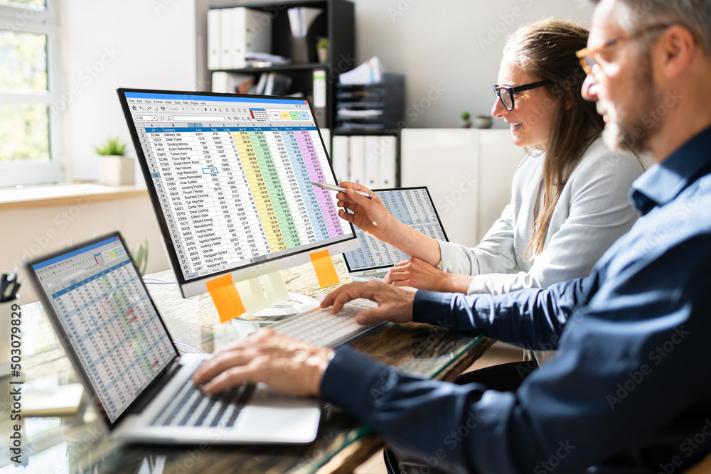 Poster analyst employee working on spreadsheet