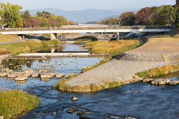 秋の鴨川