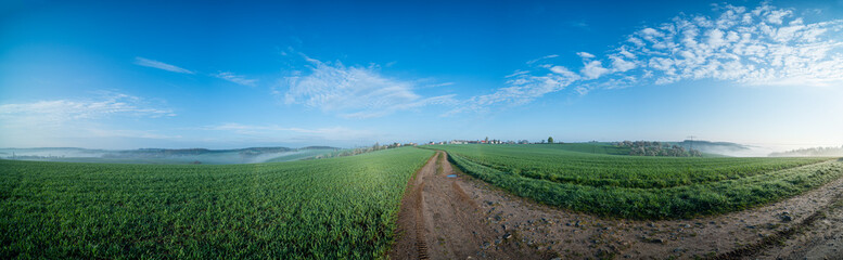 panorama of green field and country road