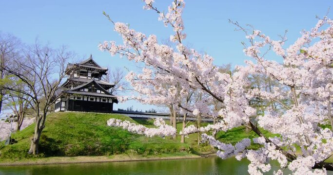 高田城址公園の三重櫓と桜　新潟県