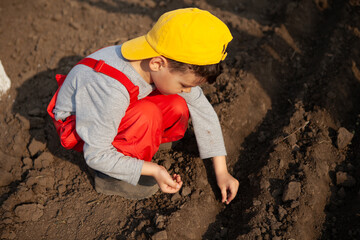 a little boy, a child plants pea seeds in the ground in a vegetable garden in a holiday village. assistance and training in agriculture