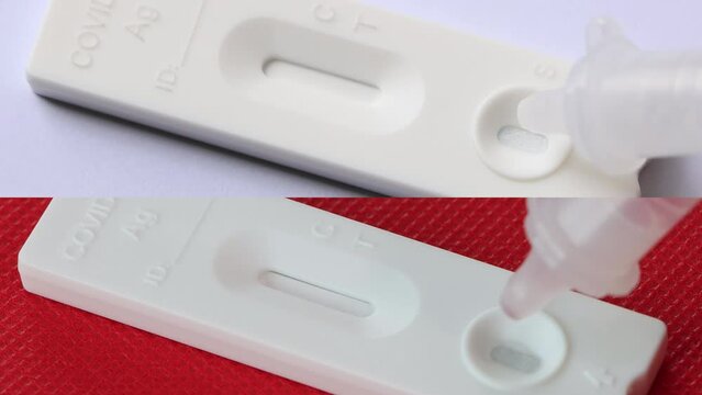 Negative and Positive Checking Covid-19 Antigen Test Kit