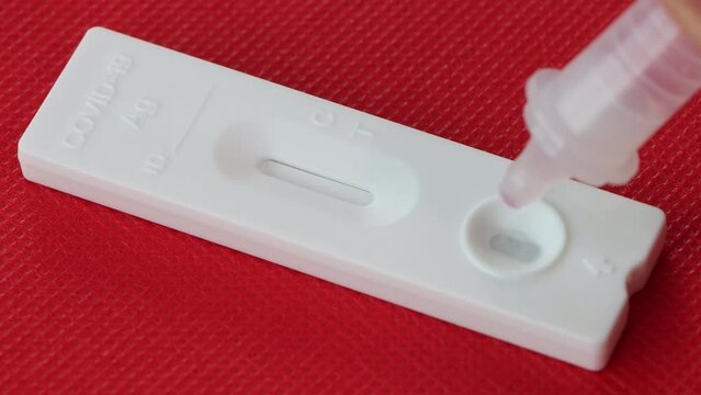 Negative and Positive Checking Covid-19 Antigen Test Kit