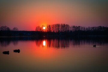Naklejka premium Sonnenuntergang Abendrot Enten - Sunrise over sea - - Zossen - Wünsdorf - Brandenburg - Deutschland - Teltow - Fläming