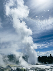 Geyser erupting into the sky at a geothermal park in Rotorua, New Zealand