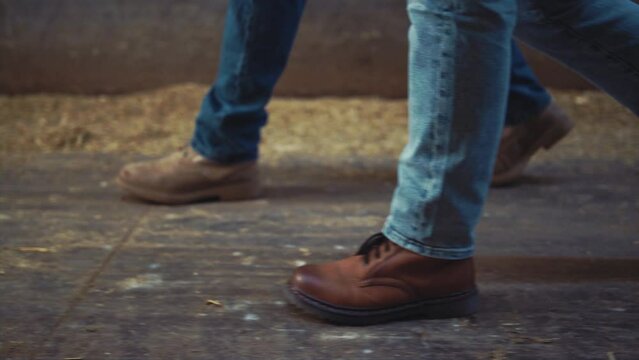Closeup livestock workers legs walking wooden shed. Agricultural team at work.
