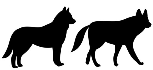 wolves silhouette, on white background, isolated, vector