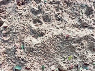 Beach sand texture with multiple mounds caused by passing feet